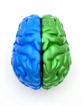 Blue end green brain Illustrazione stock