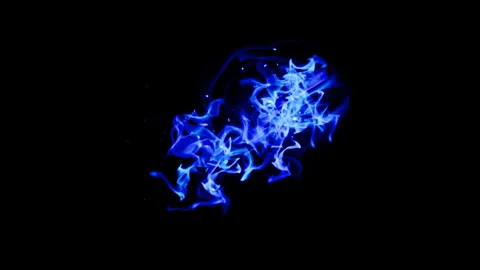 Blue energy dash effect on black background Stock Footage 319777367
