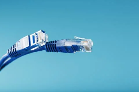 Blue Ethernet Cable Connectors Patch cord cord close-up isolated on a blue ba Fotos de archivo