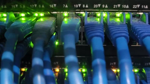 Blue Ethernet Cables in Network Switch with Green LED Status Lights Stock Footage 331256777