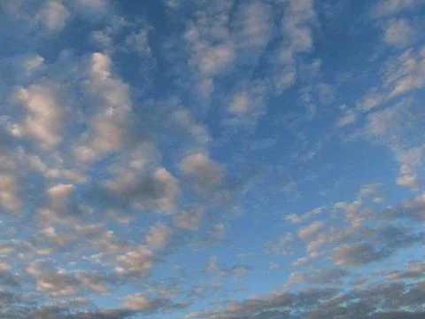 Blue evening sky, altocumulus clouds Foto stock