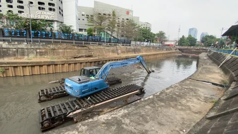 A blue excavator is working Stock Footage 295028439