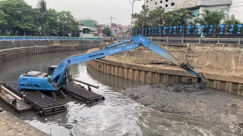 A blue excavator is working Stock Footage 295028562