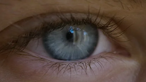 Blue Eye of Child Looking at Camera Close Up. Macro Shot Opening and Closing Video stock 251730930