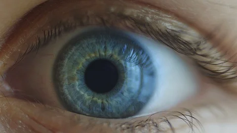 Blue eye Stock Footage 117776863