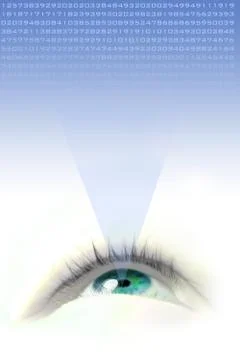 Blue  eye 스톡 일러스트