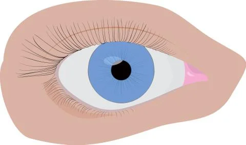 Blue eye Illustrazione stock