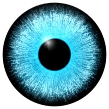 Blue eye 스톡 일러스트