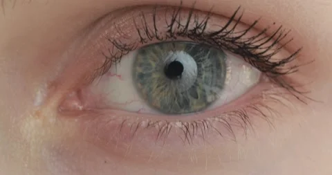 Blue eye. The iris of the human eye is narrowed. Stock Footage 201538550