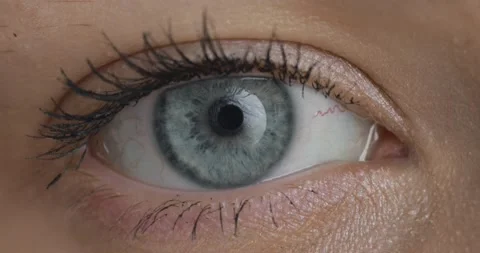 Blue eye. The iris of the human eye is narrowed.  스톡 동영상 201538595