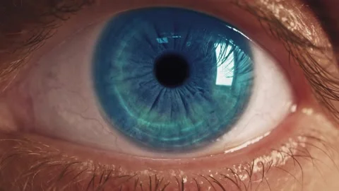 Blue Eye Looking at Camera Close Up. Stock Footage 155690633