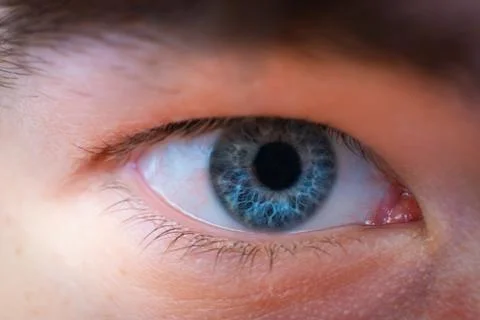 Blue eye looking into the camera Stock Photos