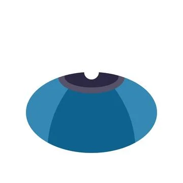 Blue eye looking forward flat minimalist illustration Stock Illustration