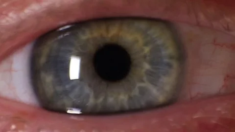 Blue Eye Macro Stock Footage 70874713