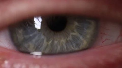 Blue Eye Macro Stock Footage 70874728