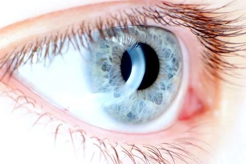 Blue eye in macro Stock Photos