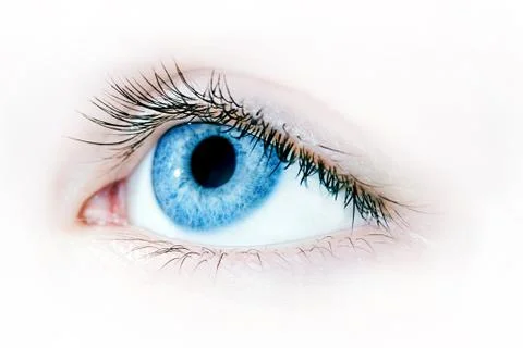 Blue eye macro Foto stock