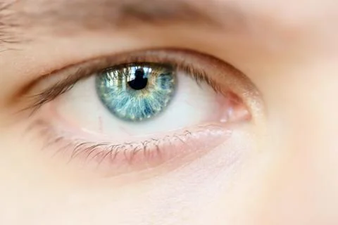Blue eye of a man Stock Photos