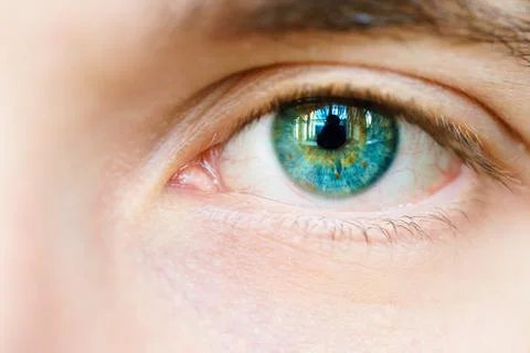 Blue eye of a man Stock Photos