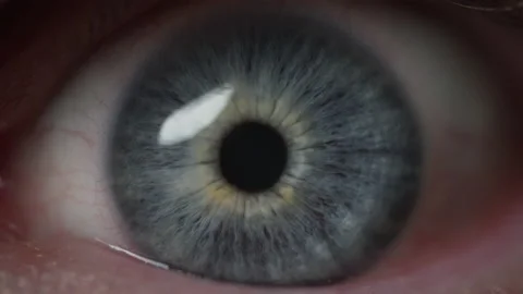 Blue eye opening wide Stock Footage 239797958