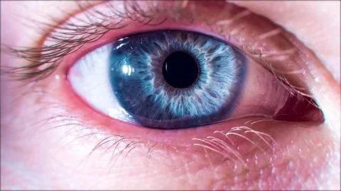 Blue Eye Opens Up And Closes Macro Shot Humanity Purpose Existence Concept 4K Stock Footage 77407737