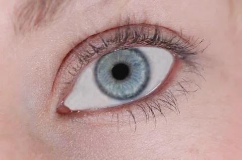Blue Eye Stock Photos