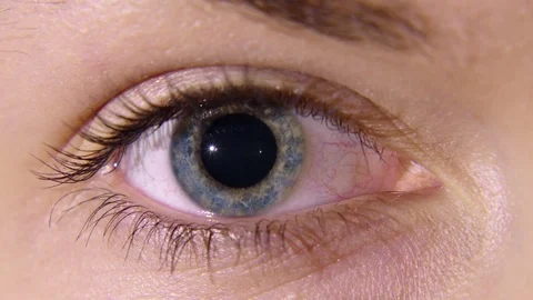 Blue eye with pupil constricting Stock Footage 75605005