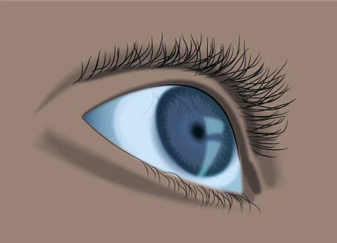 Blue eye vector illustration Stock Illustration