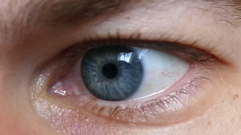 Blue Eyes Close Up Stock Footage 81686463