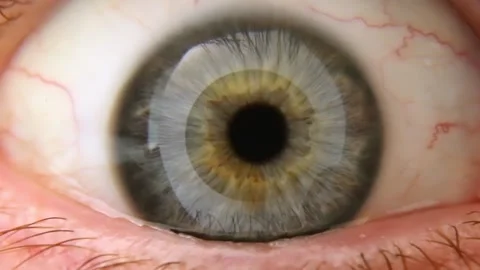 The blue eyes of a human looking into the camera close-up in detail. Stock Footage 237602572