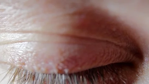 Blue Eyes Macro Closeup Stock Footage 84666565