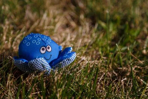 Blue fabric sof octopus toy on green grass, close up. Sea animals concept Stock Photos