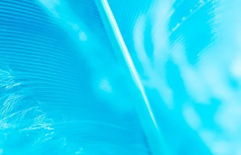 Blue feather as a background. Stock Photos