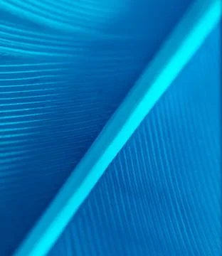 Blue feather as a background. Stock Photos