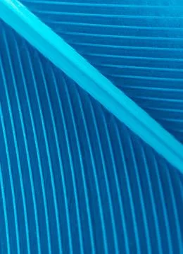Blue feather as a background. Stock Photos