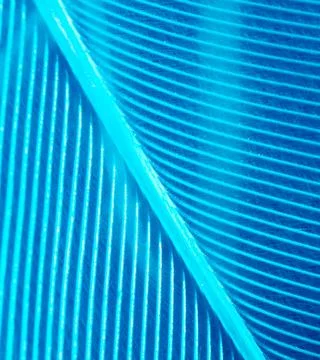 Blue feather as a background. Stock Photos