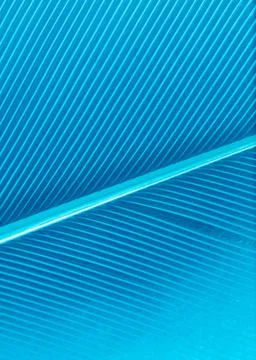 Blue feather as a background. Stock Photos