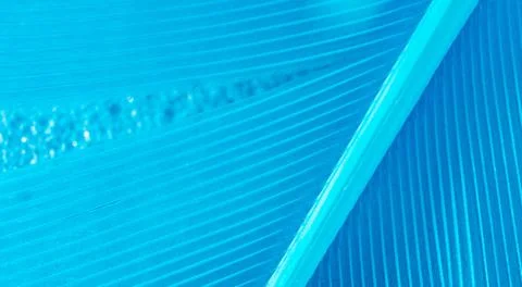 Blue feather as a background. Stock Photos