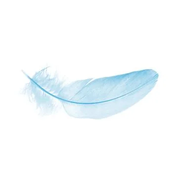 Blue feather Stock Photos