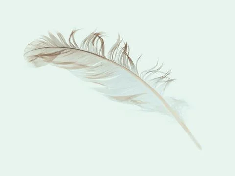 Blue feather Stock Photos