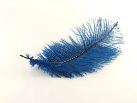 Blue feather Foto stock