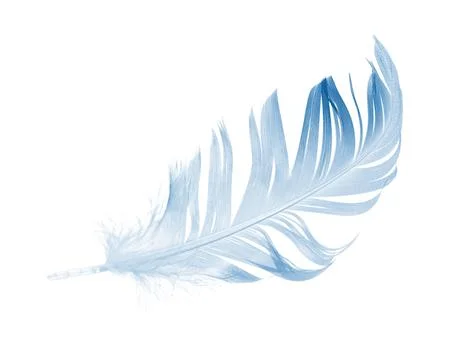 Blue feather Stock Photos