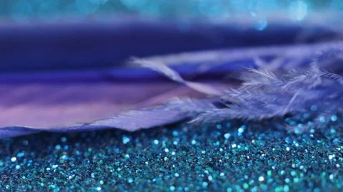 The blue feather rests on a shiny blue background, with drops of water falling Stock Footage 124039734