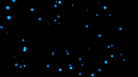 Blue Festive Blinking Bokeh Lights Background VJ Loop in 4K Stock Footage 341676326