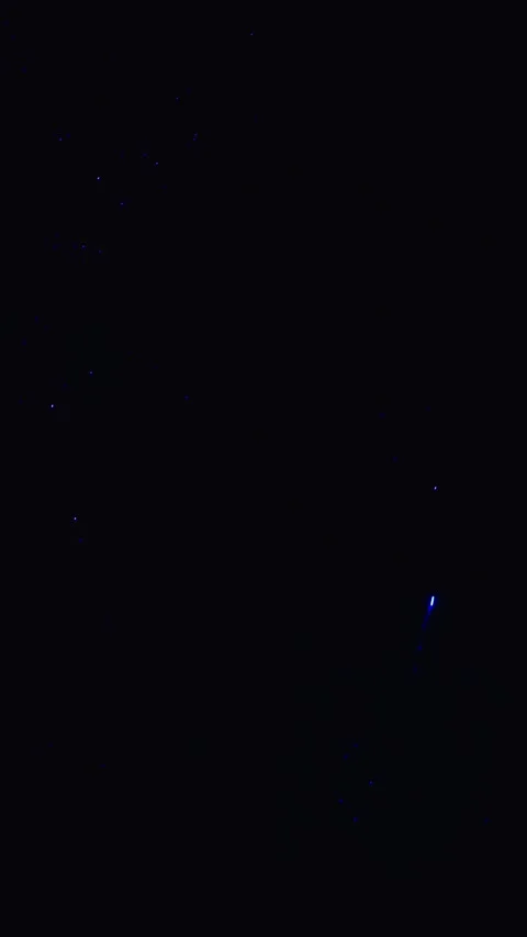 Blue festive fireworks exploding in dark night sky 스톡 동영상 343160165