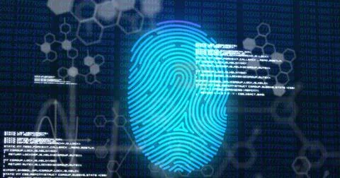 A blue fingerprint overlaying digital data, symbolizing cybersecurity Illustrazione stock