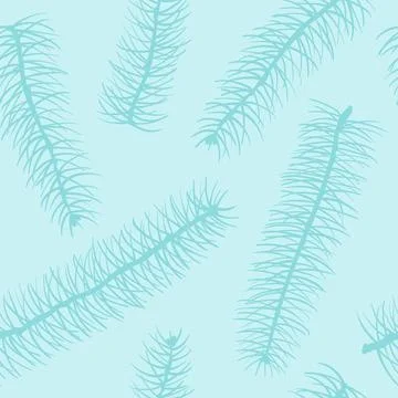 Blue Fir branch seamless pattern. Winter design for holiday greeting cards .. Stock Illustration