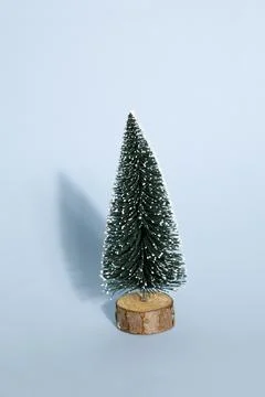 Blue fir Stock Photos