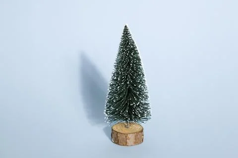 Blue fir Stock Photos