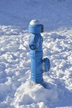 Blue fire hydrant covered in thick winter snow Stock Photos